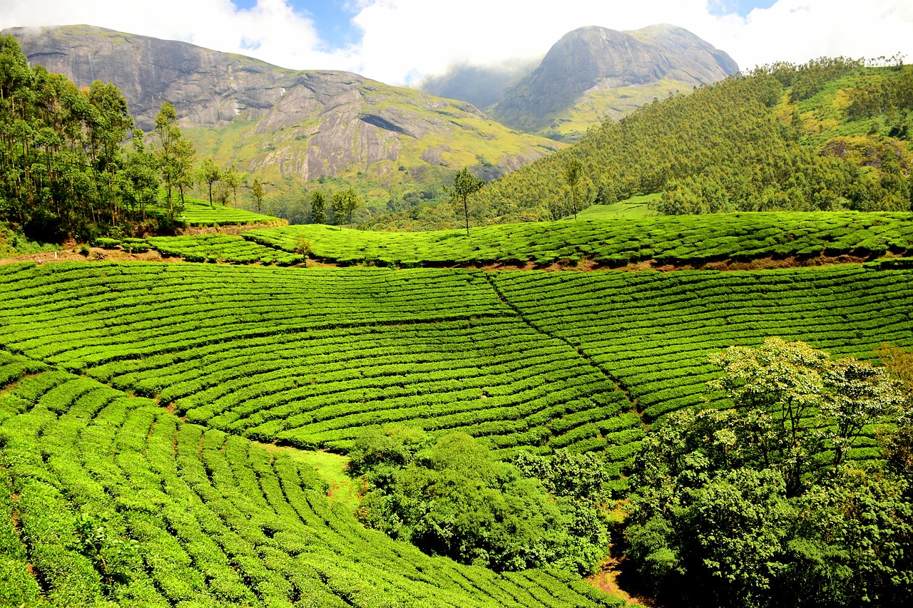 Menjelajahi Keindahan Wisata Alam di Pangalengan, Jadi Rekomendasi Liburan