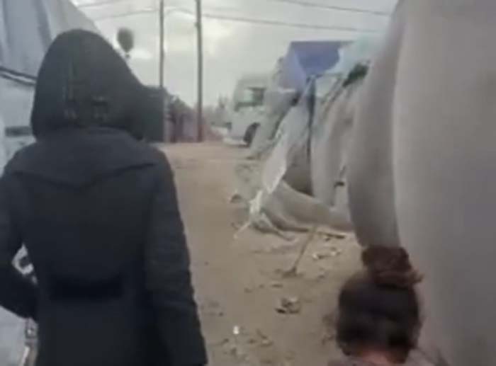 Ratusan Ribu Orang di Gaza Terpapar Kondisi Dingin dan Basah, Terjadi Hujan Lebat Angin Kencang