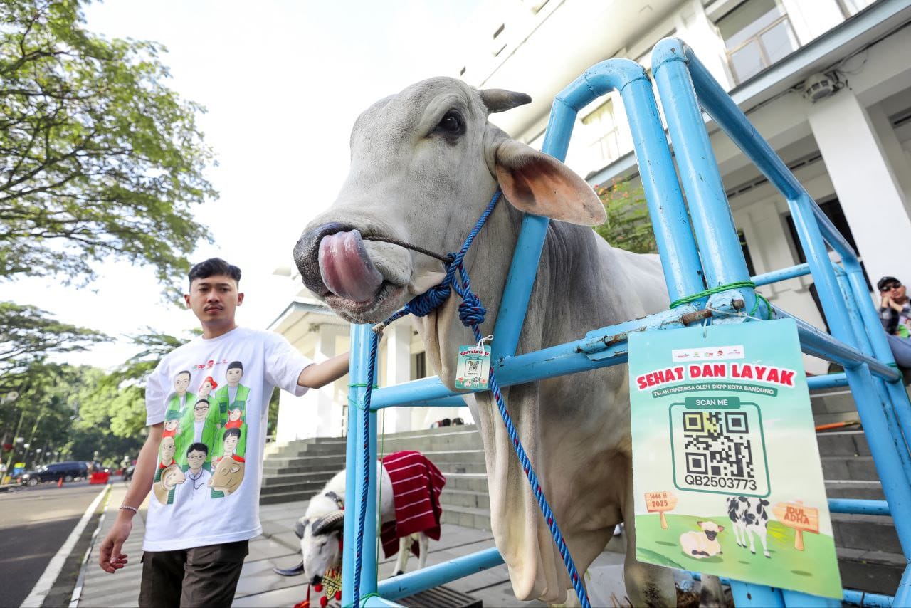 Jelang Iduladha, Warga Bandung Diimbau Pilih Hewan Kurban Sehat dan Bersertifikat Lewat e-Selamat