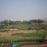 Ketahanan Pangan Bandung Masih Bergantung Daerah Pemasok, Farhan Kaji Skema Lumbung Pangan